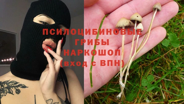 первитин Нягань