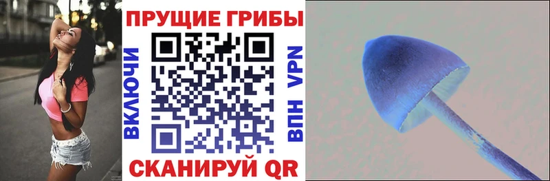 Галлюциногенные грибы MAGIC MUSHROOMS Кувандык