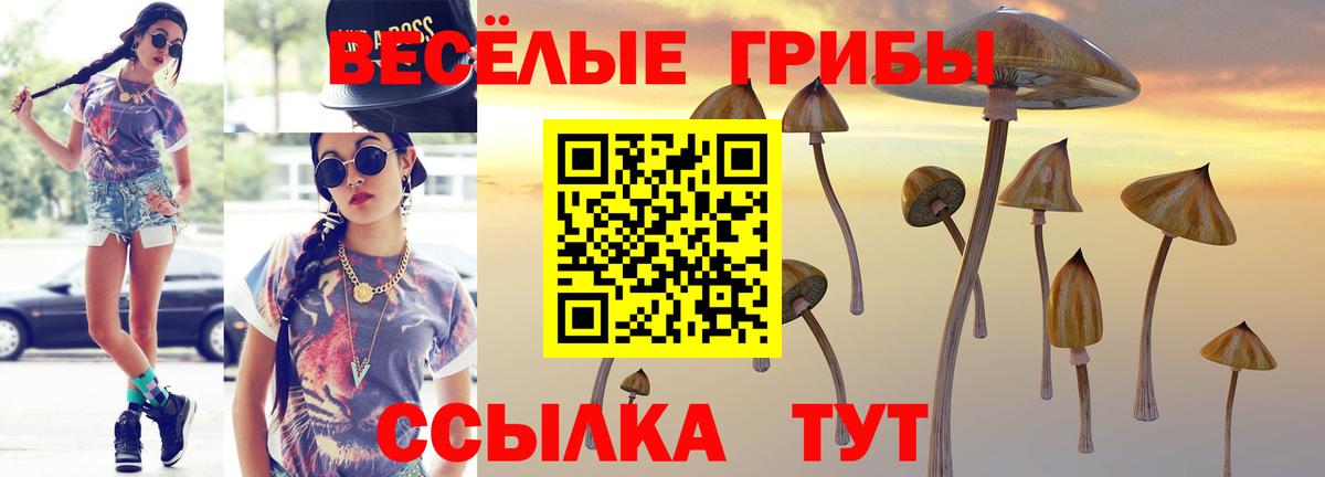 Псилоцибиновые грибы GOLDEN TEACHER Кувандык