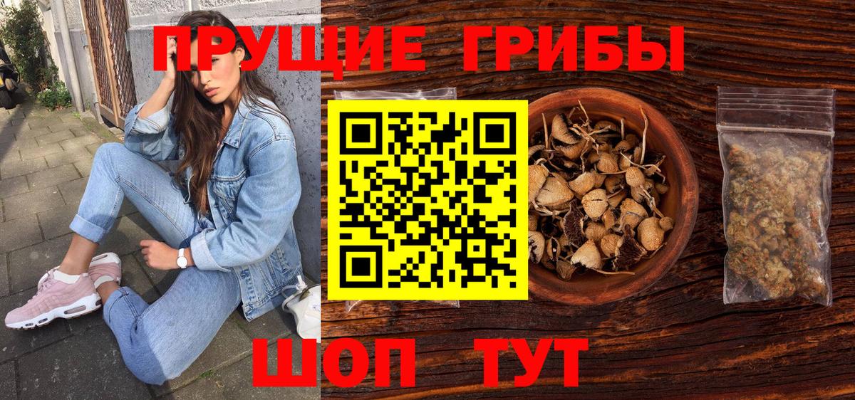 Галлюциногенные грибы GOLDEN TEACHER  Псилоцибиновые грибы Cubensis  Кувандык  Вход с VPN 